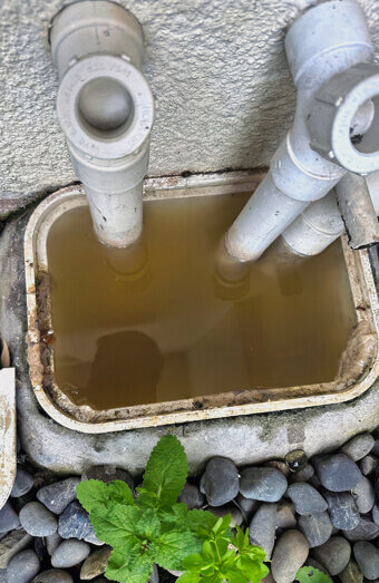 https://plumberforrestfield.com.au/uploads/2025/06/blocked-drains-912576.jpg